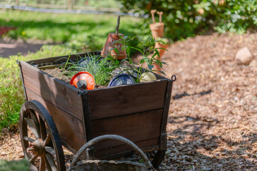 Führer Gruppe Köthen Rosenheim-2102